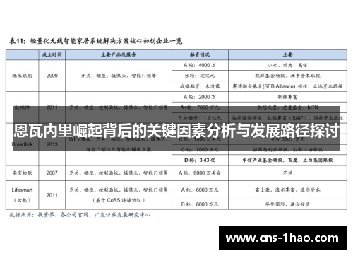 恩瓦内里崛起背后的关键因素分析与发展路径探讨