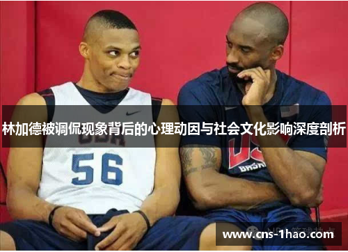 林加德被调侃现象背后的心理动因与社会文化影响深度剖析 林加德被调侃现象背后的心理动因与社会文化影响深度剖析