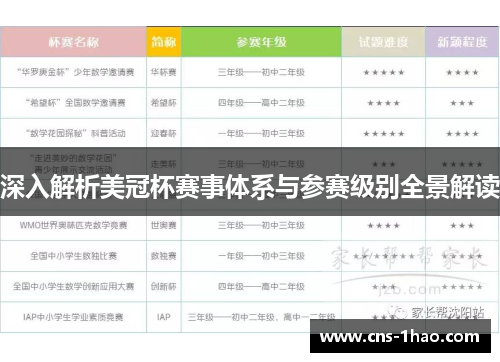 深入解析美冠杯赛事体系与参赛级别全景解读
