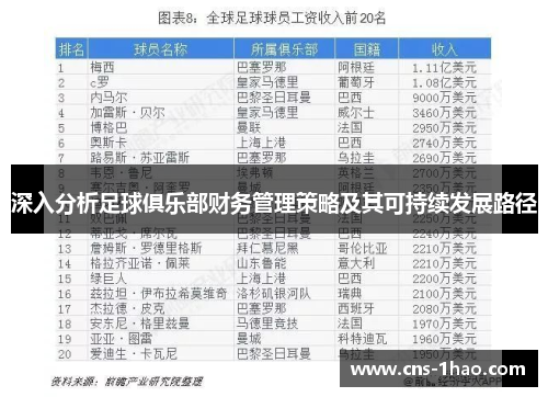 深入分析足球俱乐部财务管理策略及其可持续发展路径
