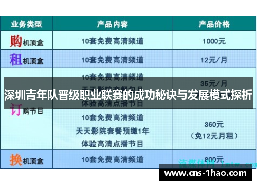 深圳青年队晋级职业联赛的成功秘诀与发展模式探析 深圳青年队晋级职业联赛的成功秘诀与发展模式探析